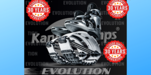 Kangoo Jumps original shoes